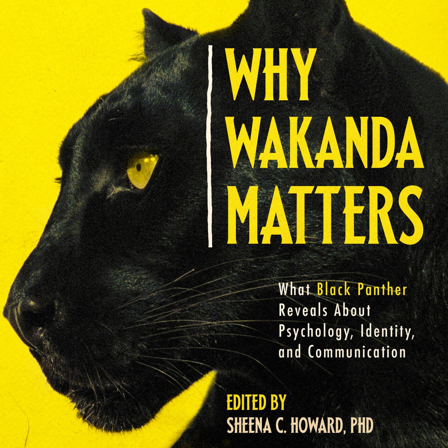 Why Wakanda Matters: What Black Panther Reveals About Psychology, Identity, and Communication Audiobook, by Sheena C. Howard