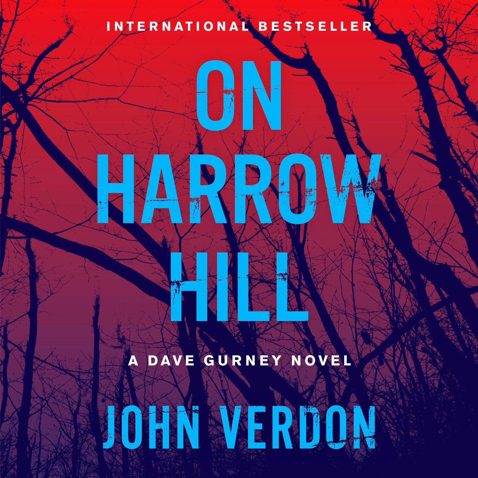 On Harrow Hill: A Dave Guerney Novel Audiobook, by John Verdon