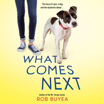 What Comes Next Audiobook, by Rob Buyea