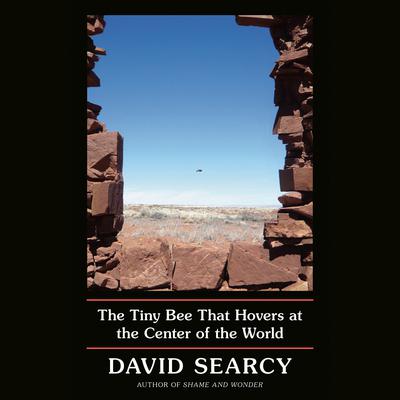 The Tiny Bee That Hovers at the Center of the World Audiobook, by David Searcy