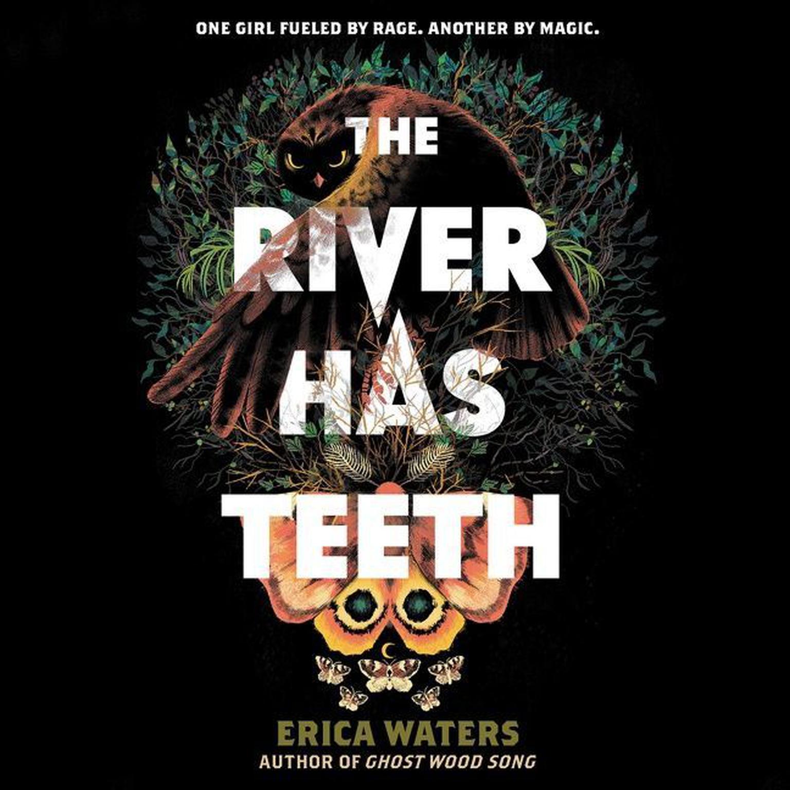 The River Has Teeth Audiobook, by Erica Waters