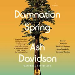 Damnation Spring Audiobook, by Ash Davidson