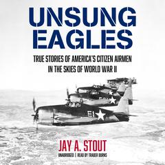 Unsung Eagles: True Stories of America’s Citizen Airmen in the Skies of World War II Audiobook, by Jay A. Stout