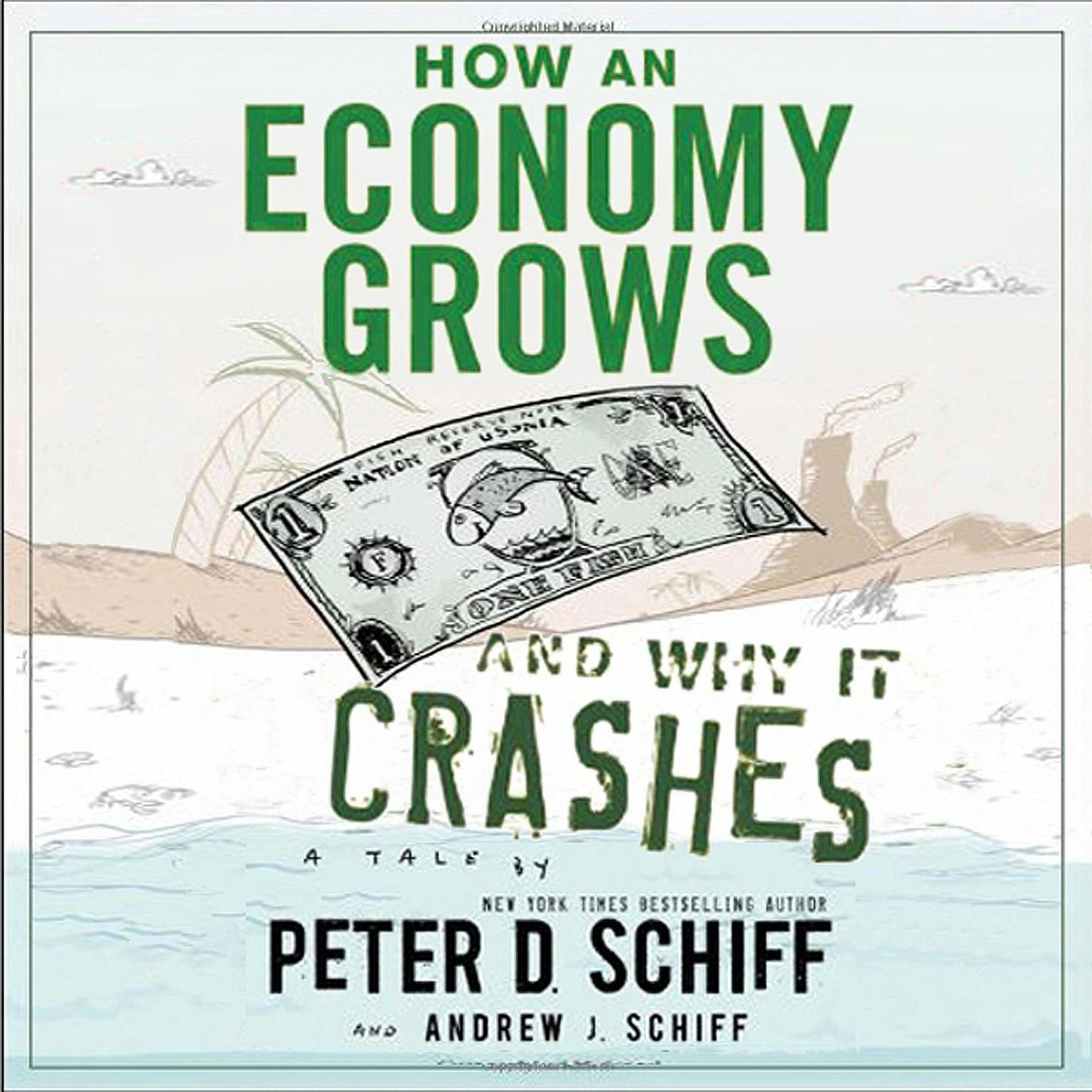 How an Economy Grows and Why It Crashes Audiobook, by Peter D. Schiff