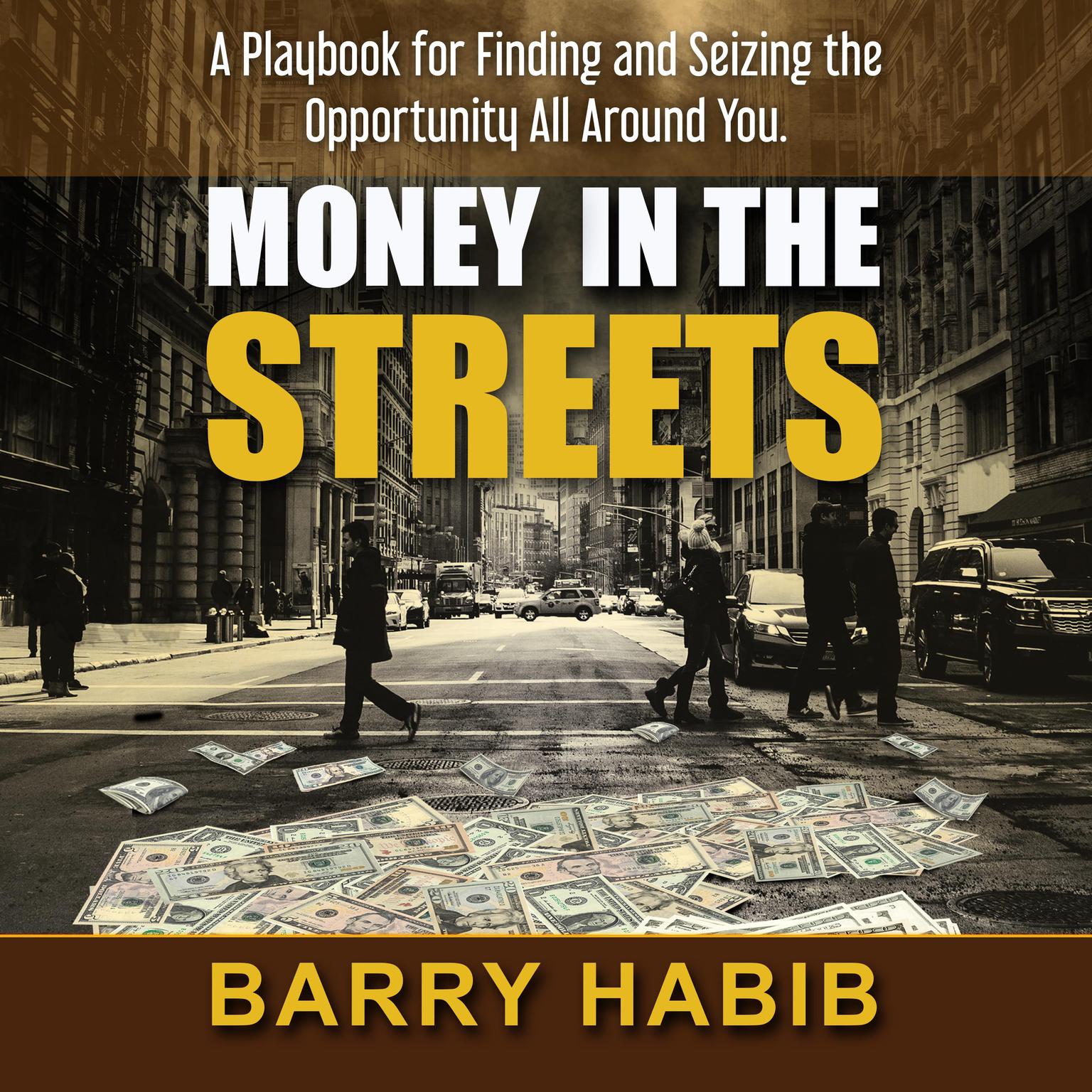 Money in the Streets: A Playbook for Finding and Seizing the Opportunity All Around You Audiobook, by Barry Habib