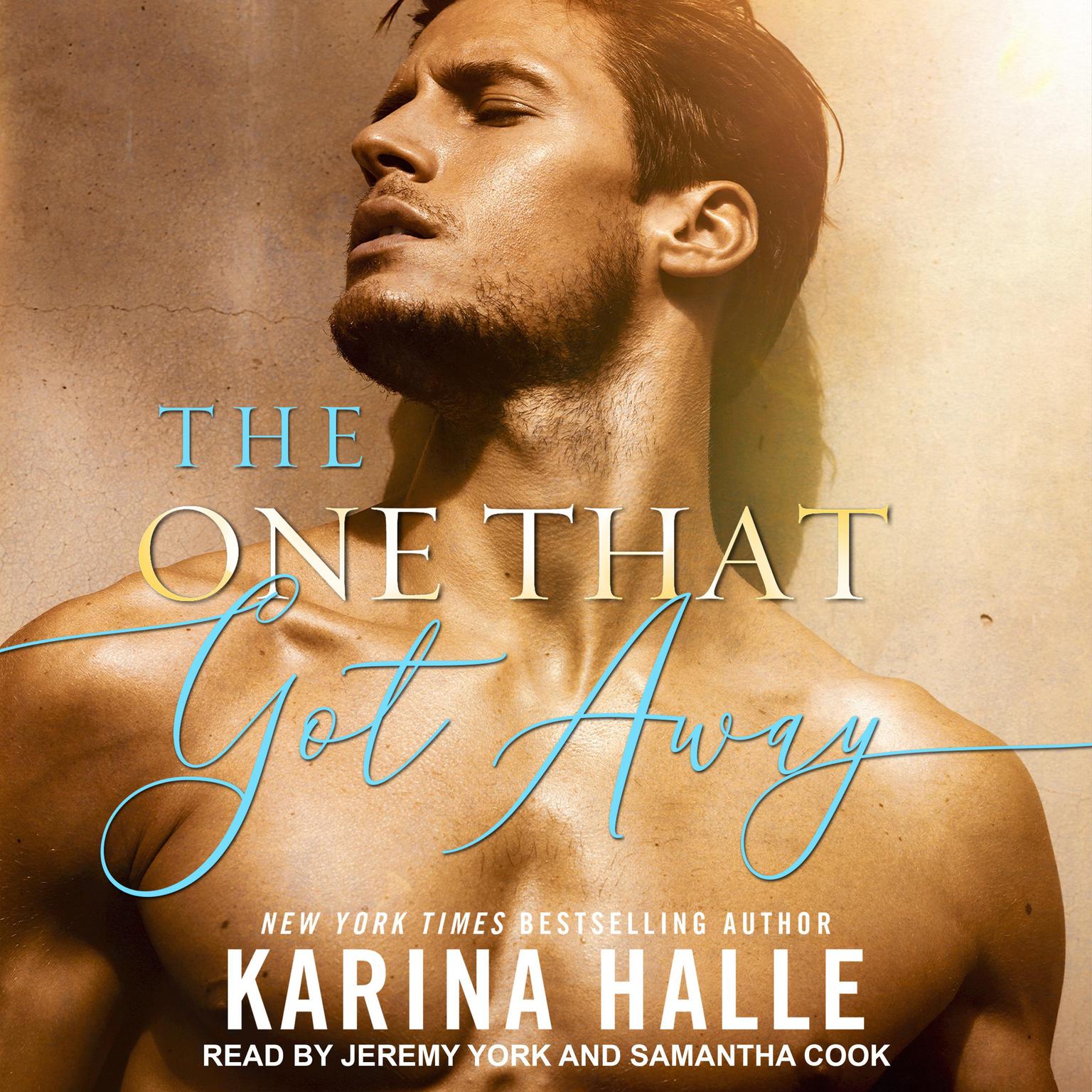 The One That Got Away Audiobook, by Karina Halle