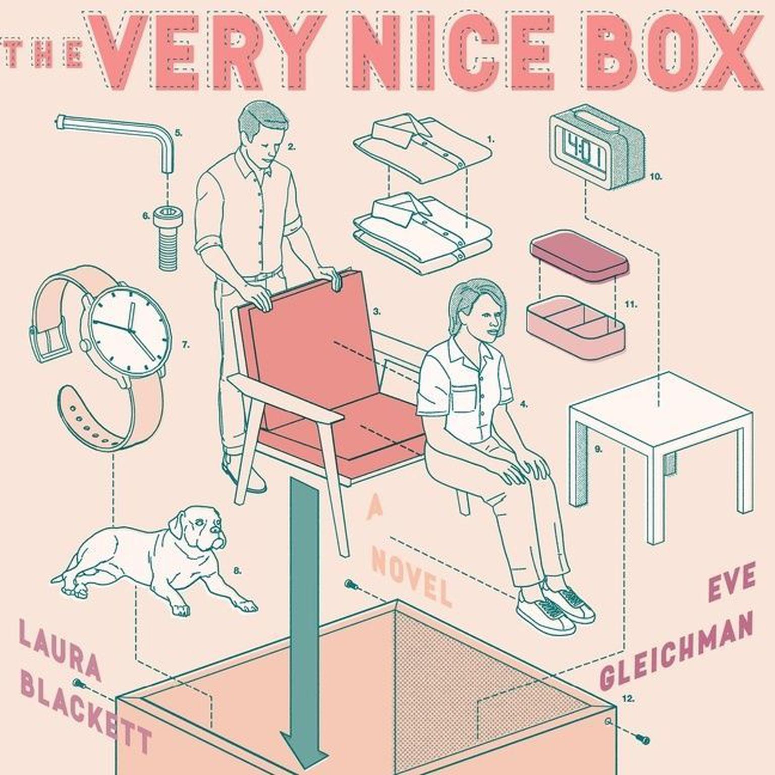 The Very Nice Box Audiobook, by Laura Blackett