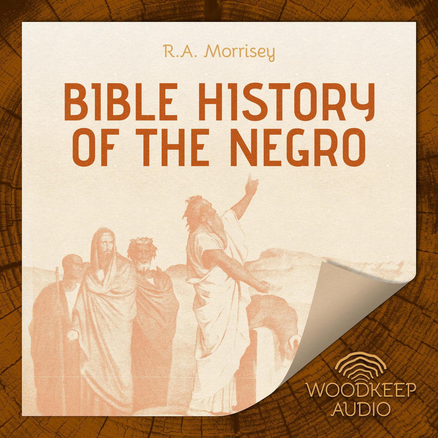Bible History of the Negro Audiobook, by R.A. Morrisey