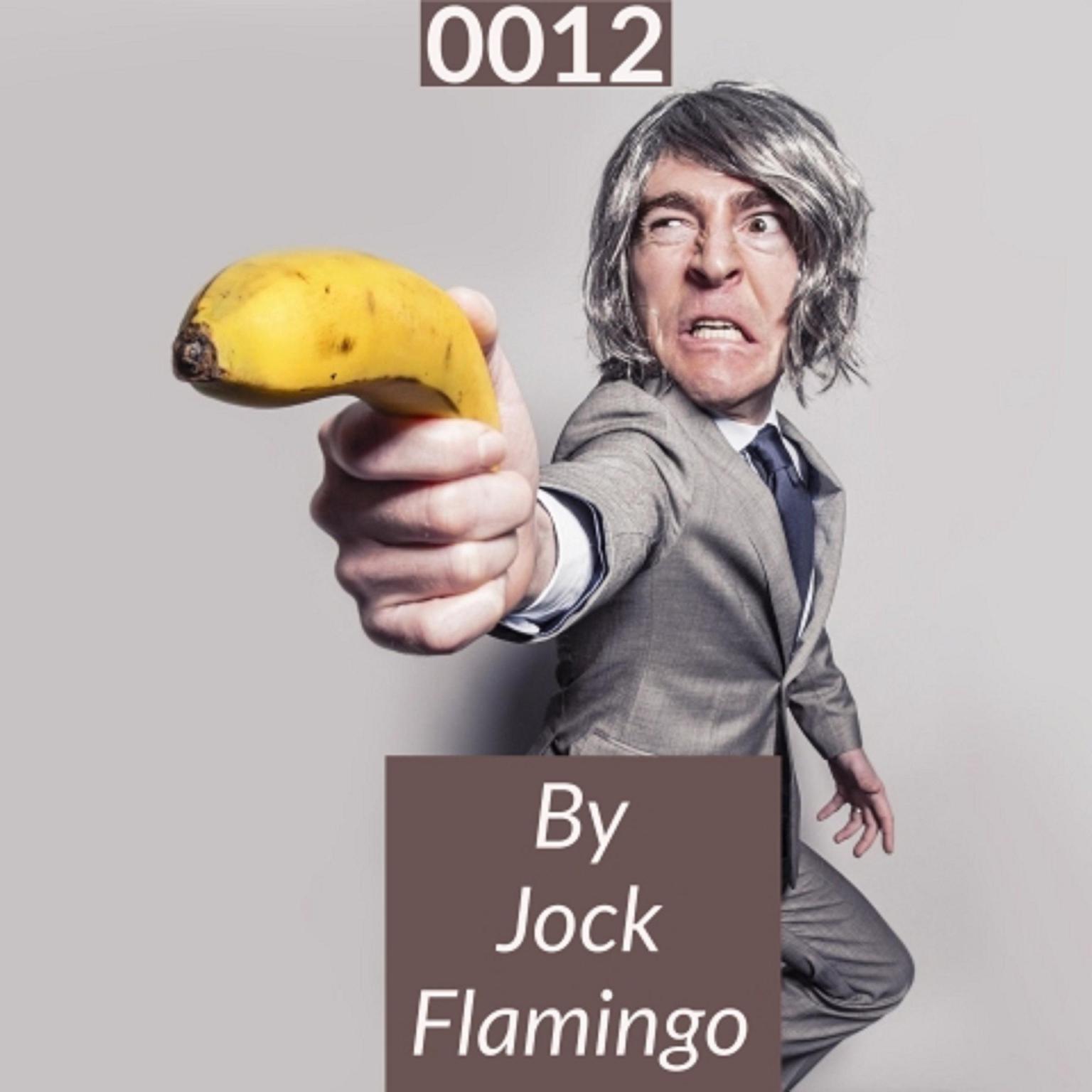 0012 Audiobook, by Jock Flamingo
