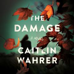 The Damage: A Novel Audiobook, by Caitlin Wahrer