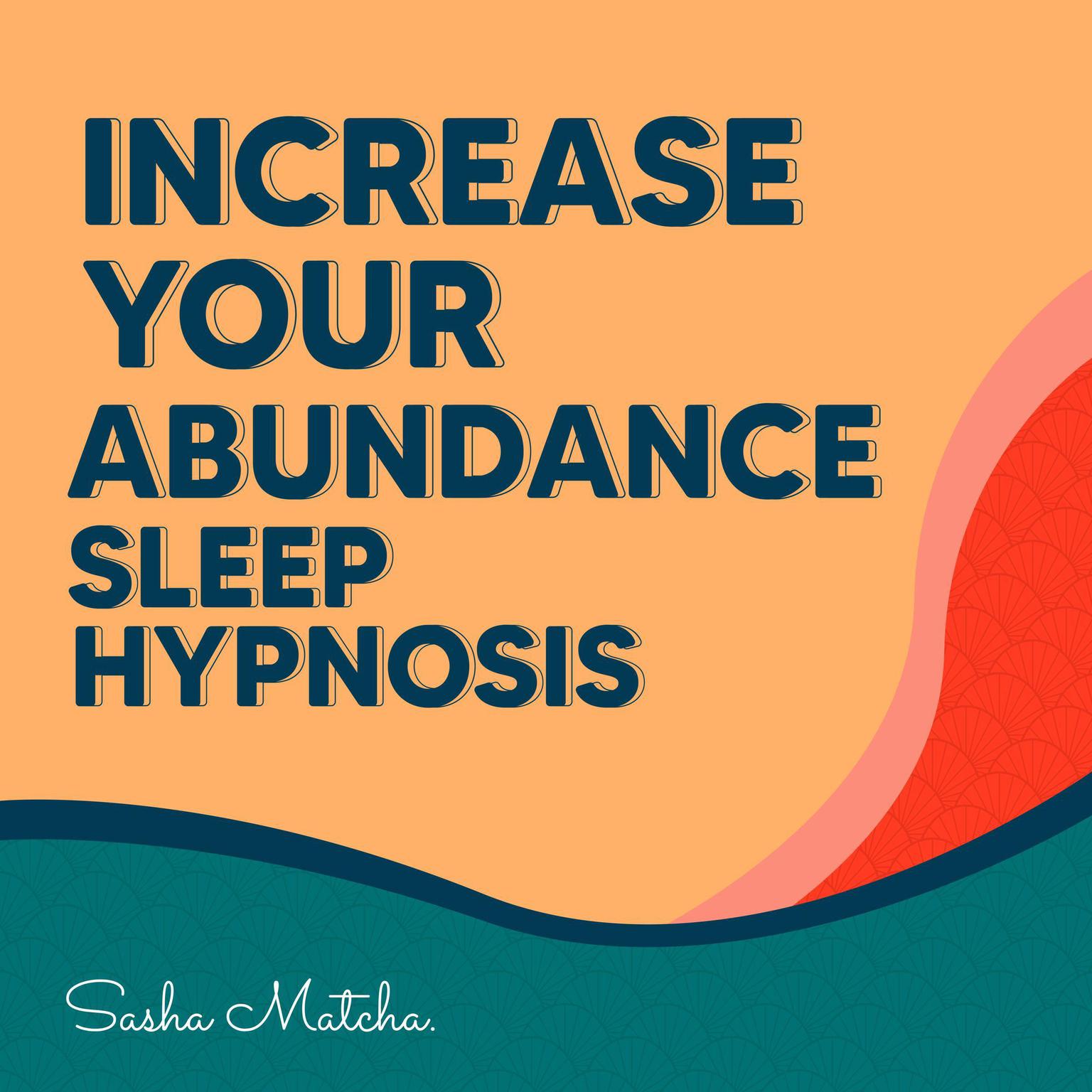 Increase Your Abundance Sleep Hypnosis Audiobook, by Sasha Matcha