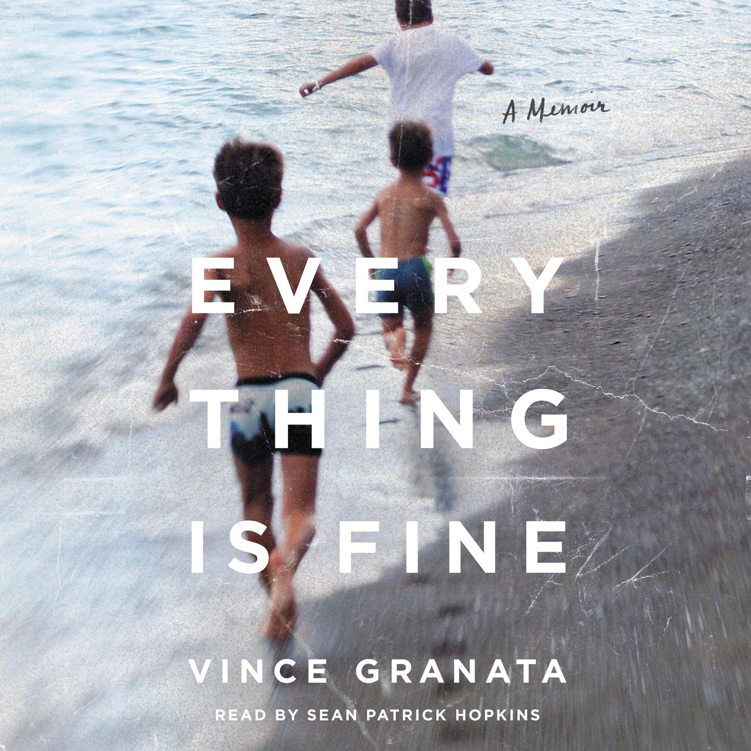 Everything Is Fine: A Memoir Audiobook, by Vince Granata