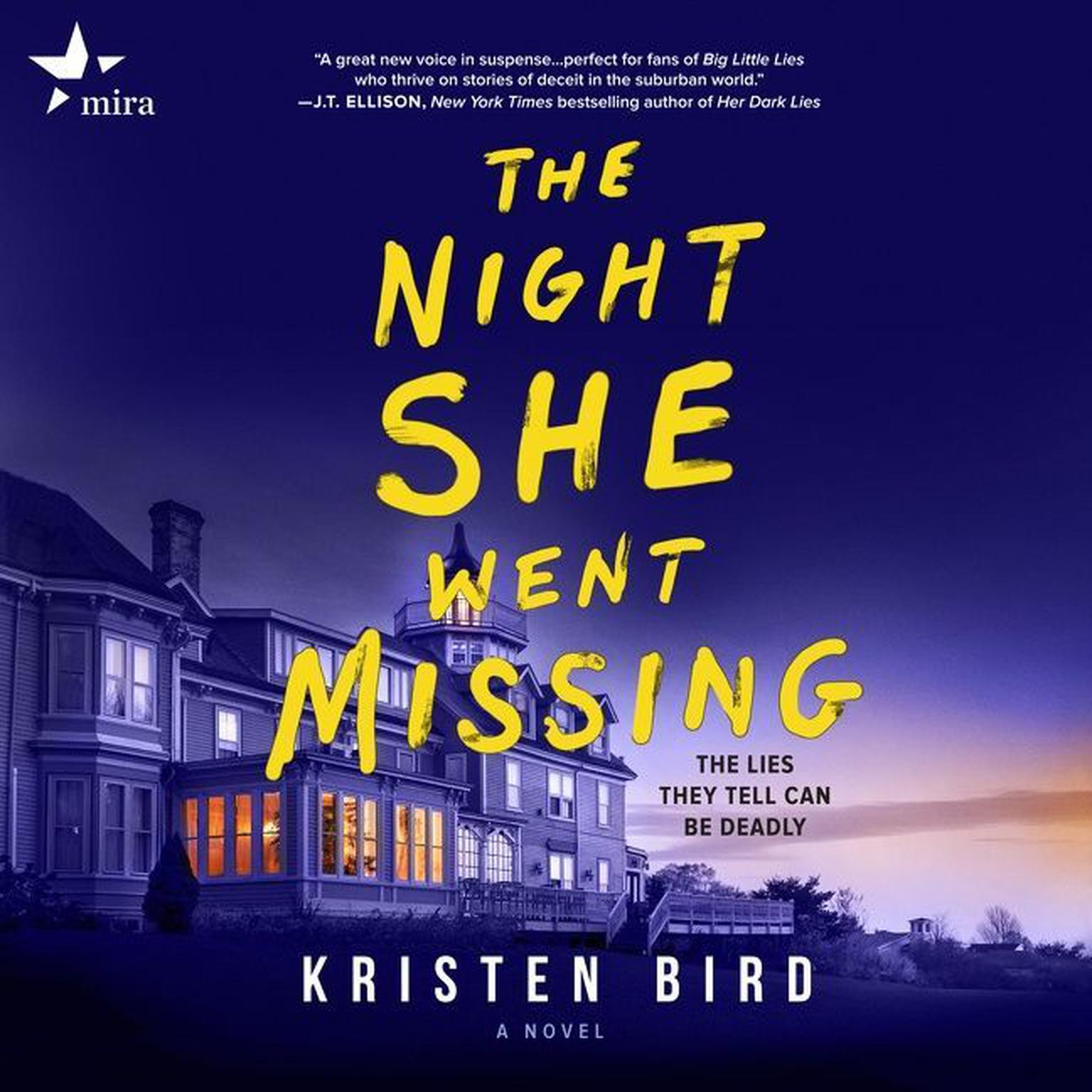 The Night She Went Missing: A Novel Audiobook, by Kristen Bird