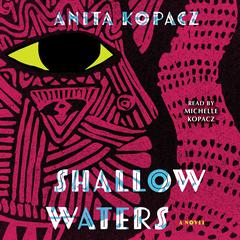 Shallow Waters: A Novel Audiobook, by Anita Kopacz
