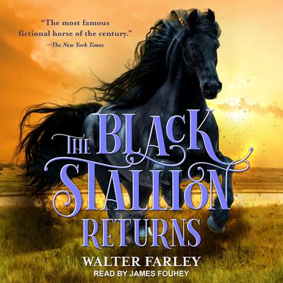The Black Stallion Returns Audiobook, by Walter Farley