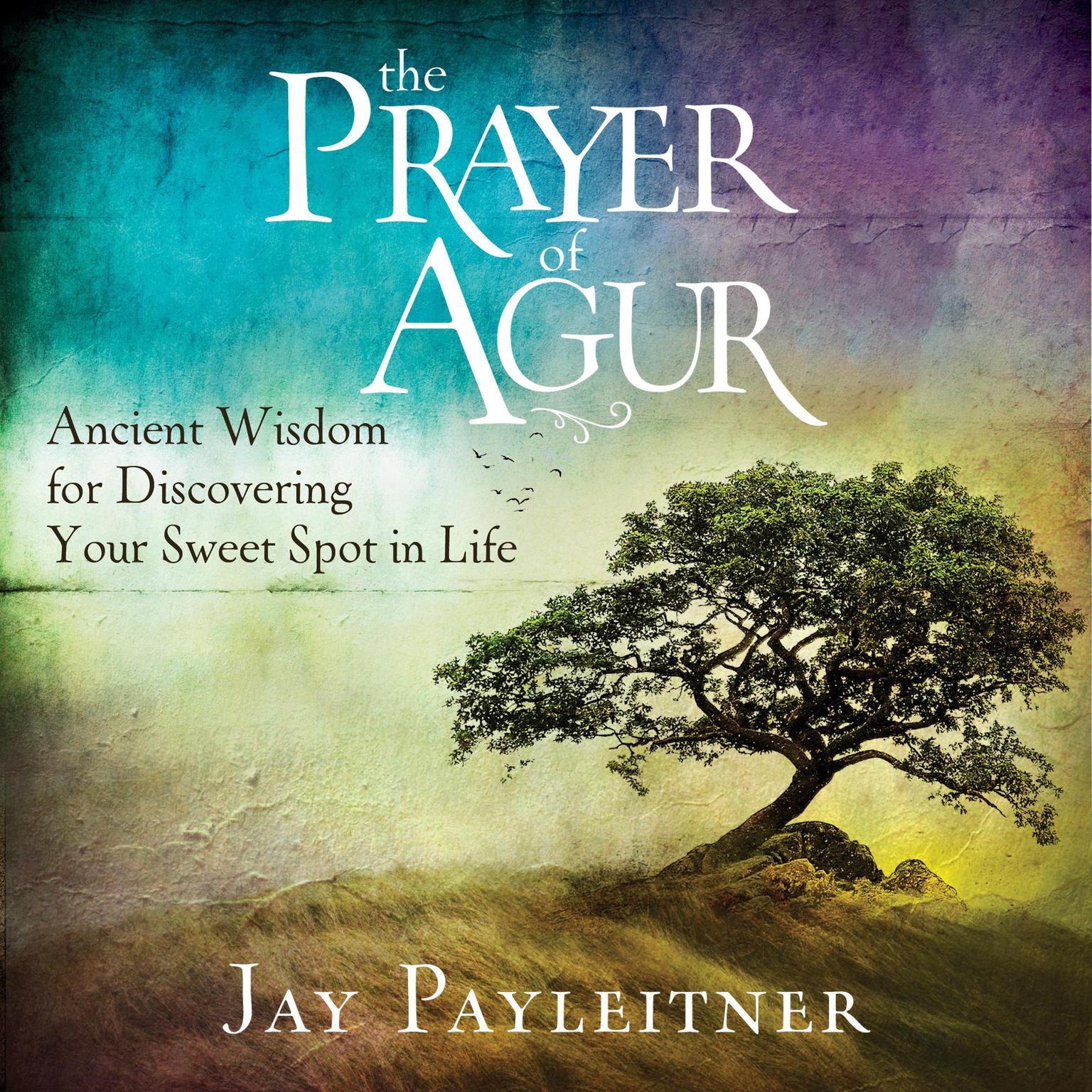 The Prayer of Agur: Ancient Wisdom for Discovering Your Sweet Spot in Life Audiobook, by Jay Payleitner