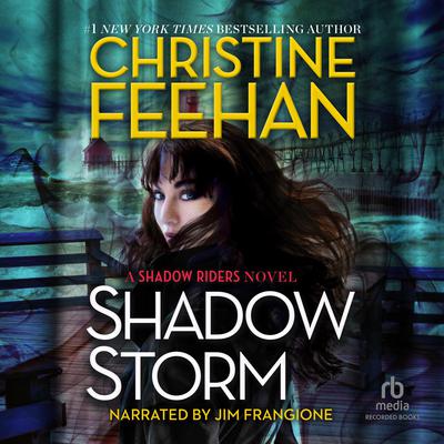 Shadow Storm Audiobook, by Christine Feehan