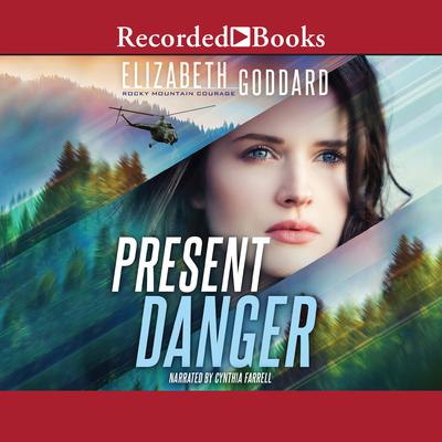 Present Danger Audiobook, by Elizabeth Goddard