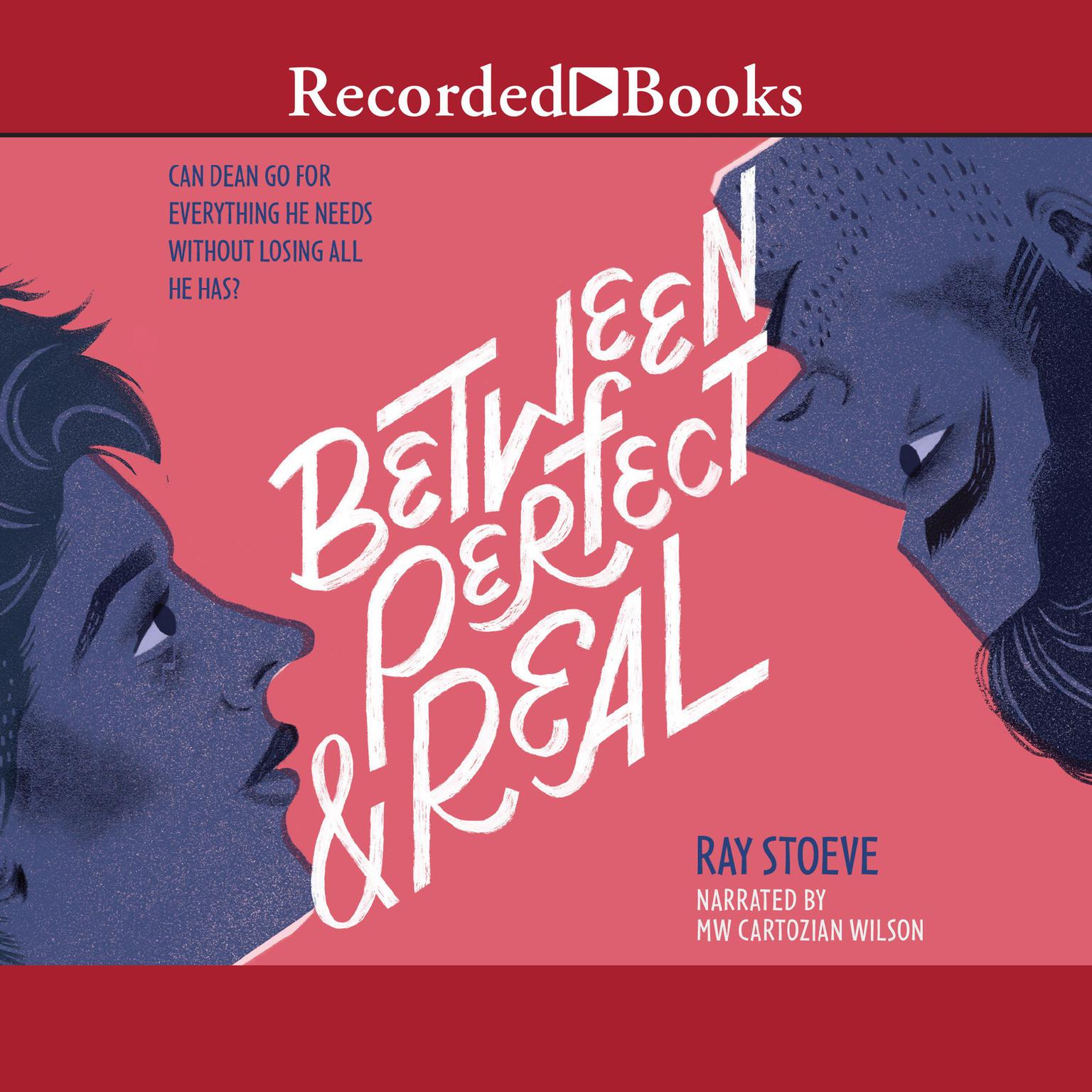 Between Perfect and Real Audiobook, by Ray Stoeve