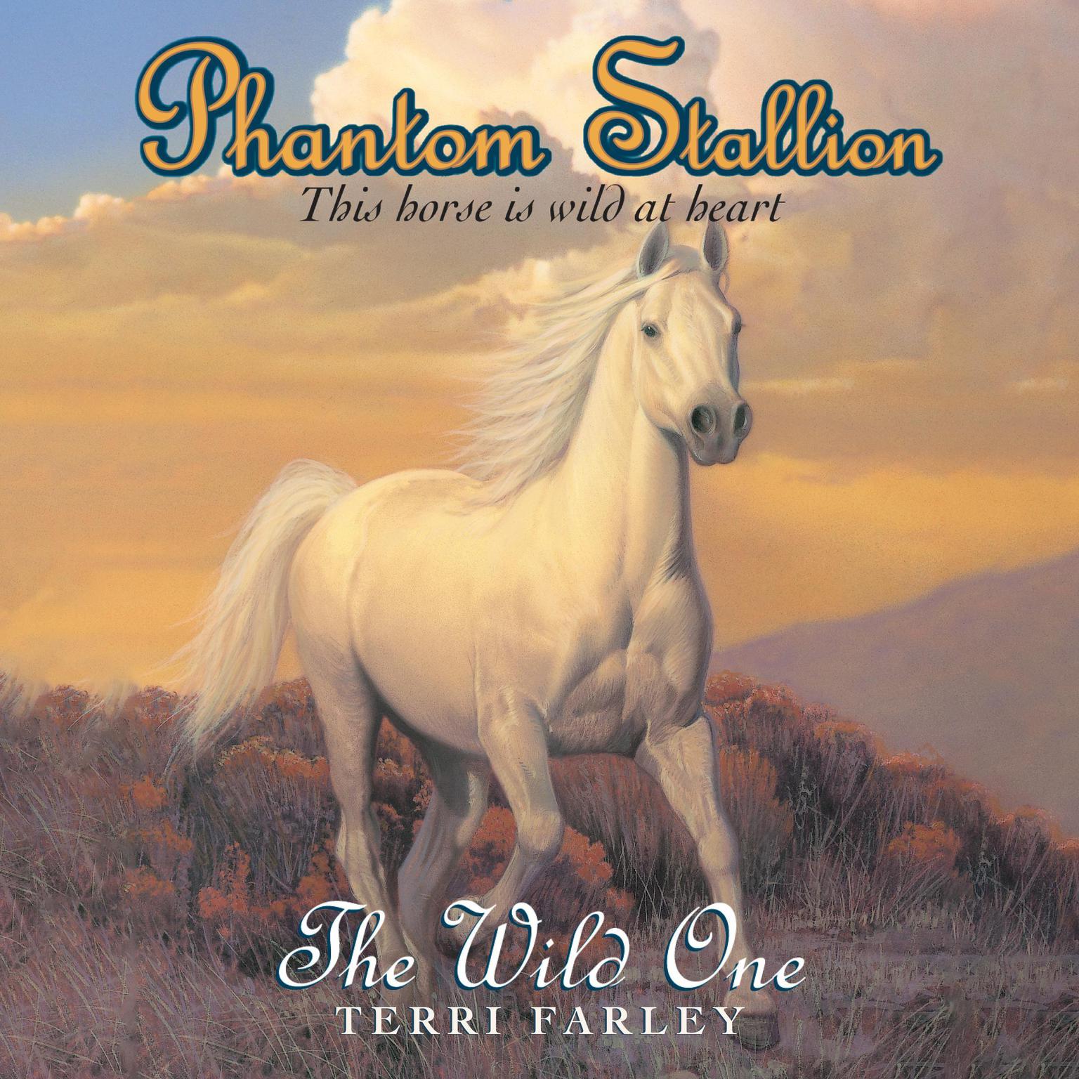 Phantom Stallion: The Wild One Audiobook, by Terri Farley