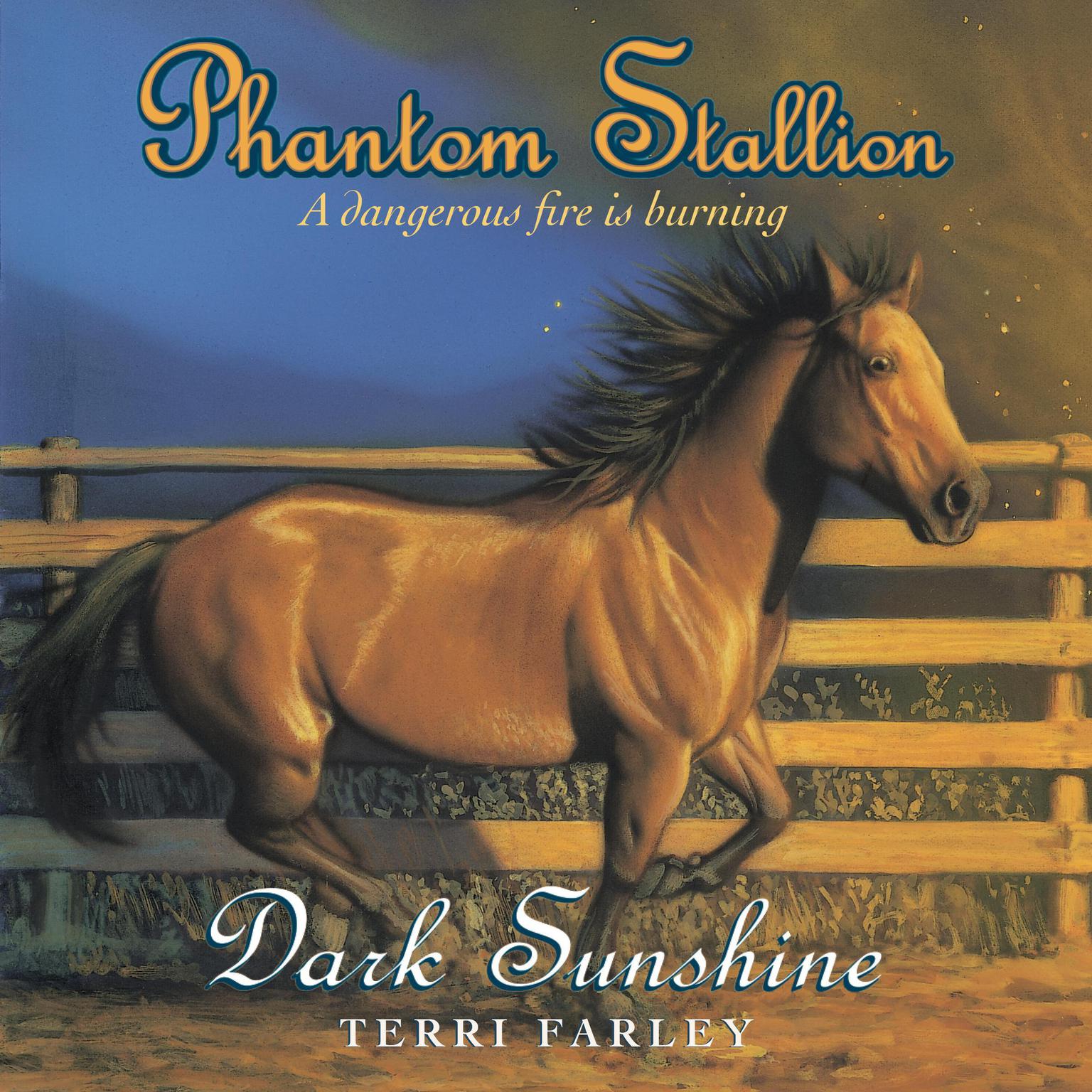 Phantom Stallion: Dark Sunshine Audiobook, by Terri Farley