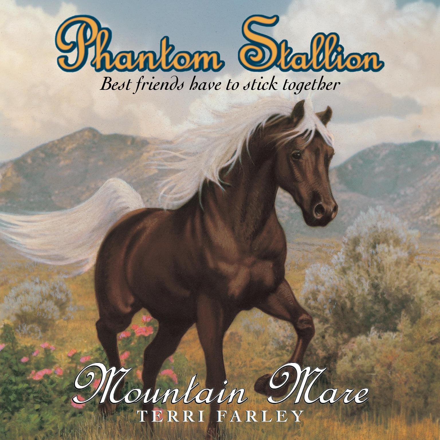 Phantom Stallion: Mountain Mare Audiobook, by Terri Farley