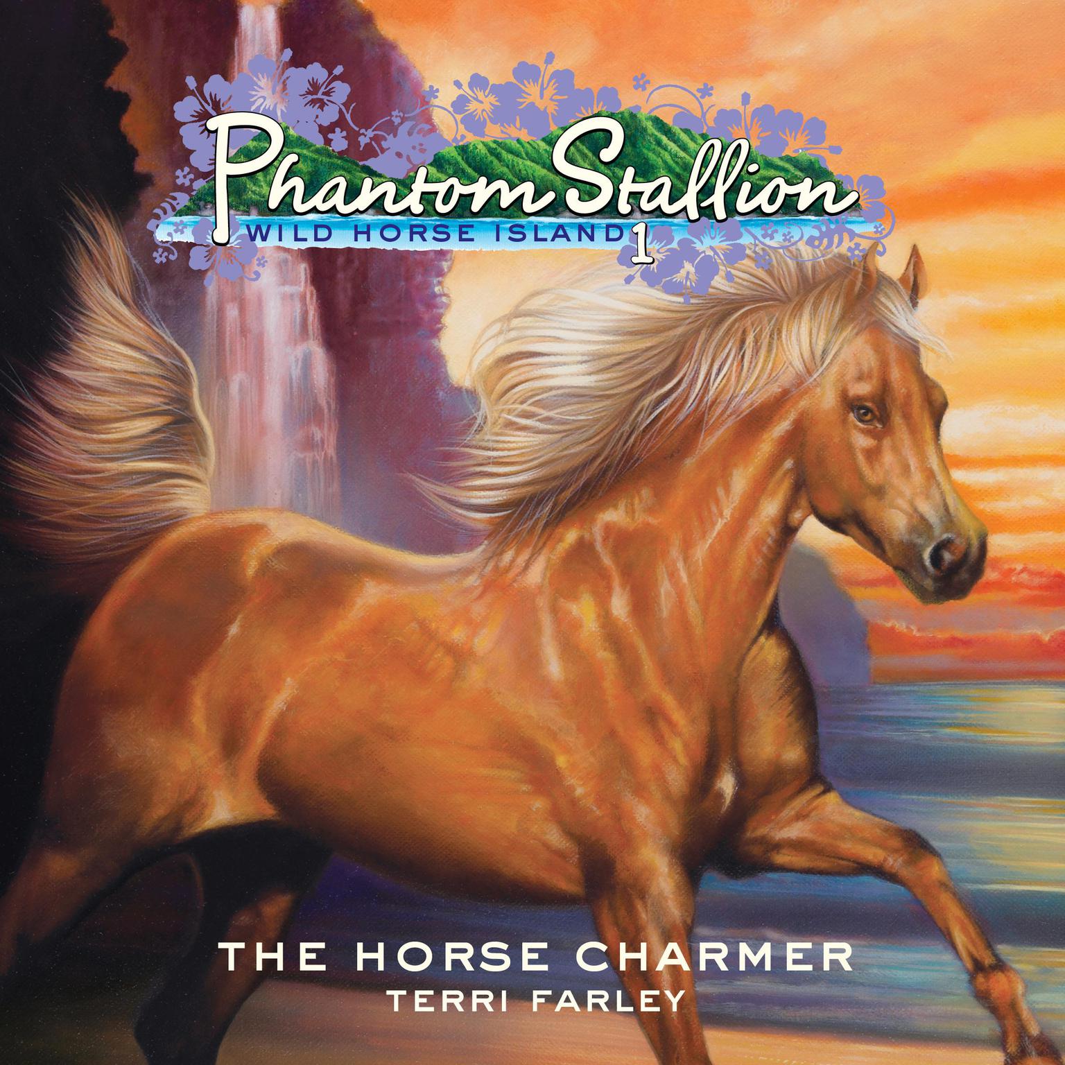 Phantom Stallion, Wild Horse Island: The Horse Charmer Audiobook, by Terri Farley