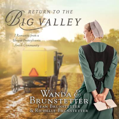 Return to the Big Valley Audiobook, by Wanda E. Brunstetter
