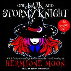 One Dark and Stormy Knight Audiobook, by Hermione Moon