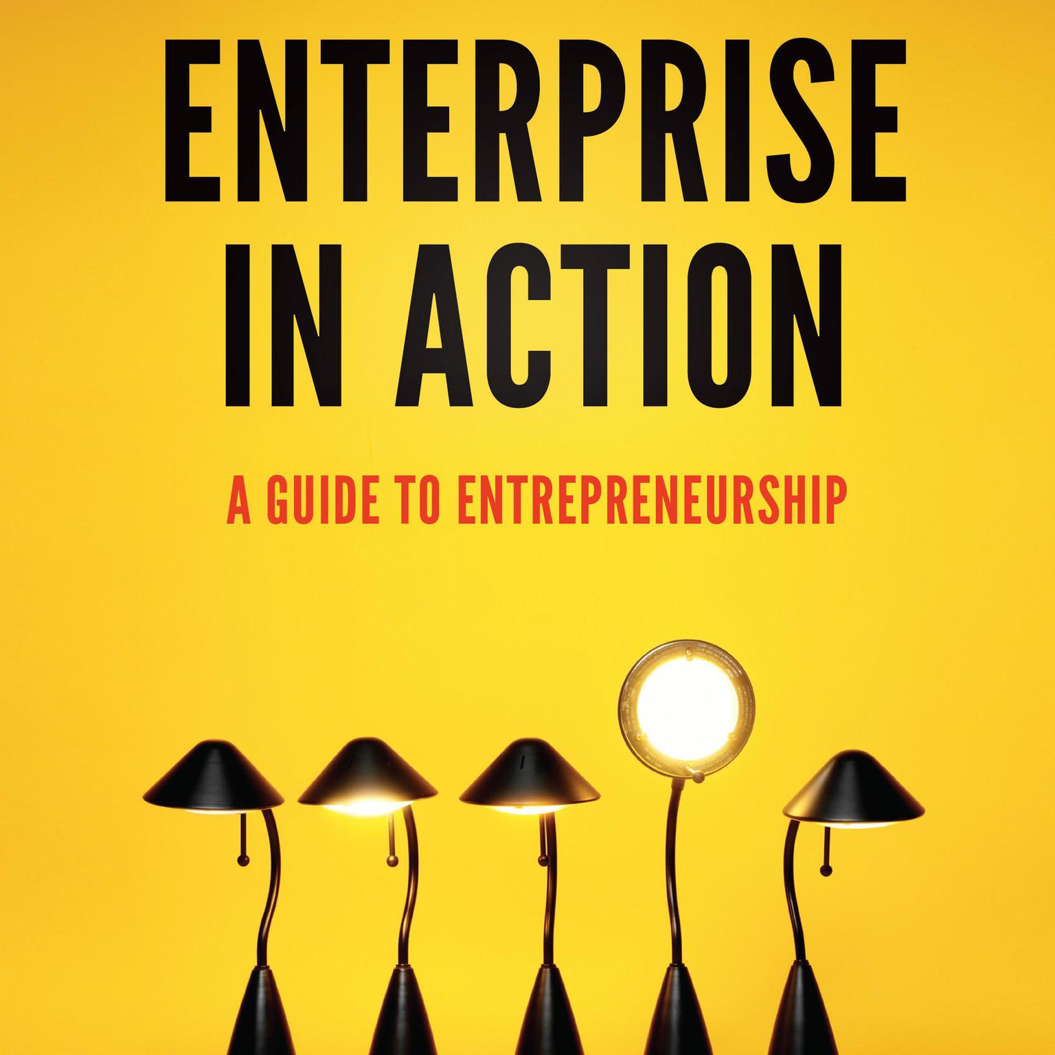 Enterprise in Action: A Guide To Entrepreneurship Audiobook, by Peter A. Lawrence