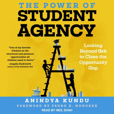 The Power of Student Agency: Looking Beyond Grit to Close the Opportunity Gap Audiobook, by Anindya Kundu