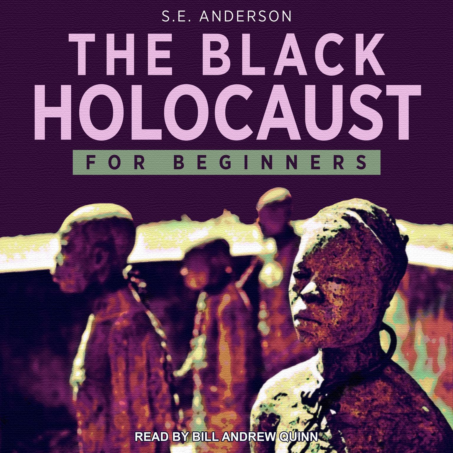 The Black Holocaust For Beginners Audiobook, by S.E. Anderson
