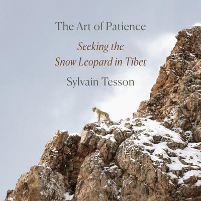 The Art of Patience: Seeking the Snow Leopard in Tibet Audiobook, by Sylvain Tesson