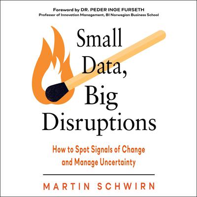 Small Data, Big Disruptions: How to Spot Signals of Change and Manage Uncertainty Audiobook, by Martin Schwirn