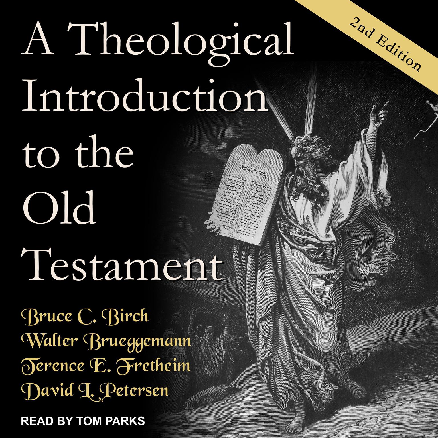 A Theological Introduction to the Old Testament: 2nd Edition Audiobook, by Walter Brueggemann