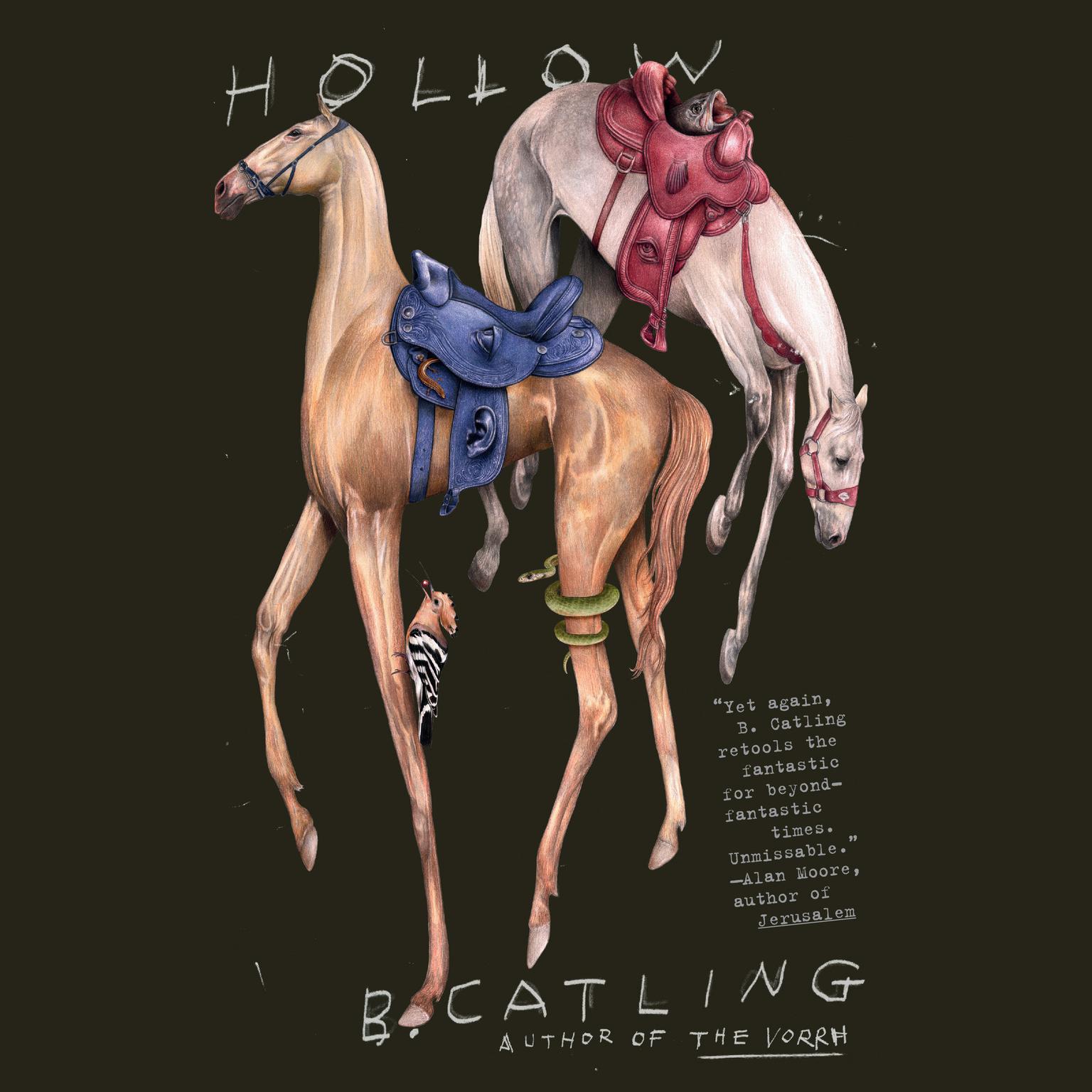 Hollow Audiobook, by Brian Catling