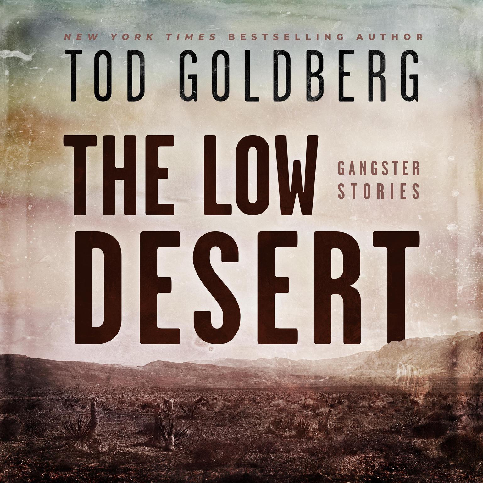The Low Desert: Gangster Stories Audiobook, by Tod Goldberg