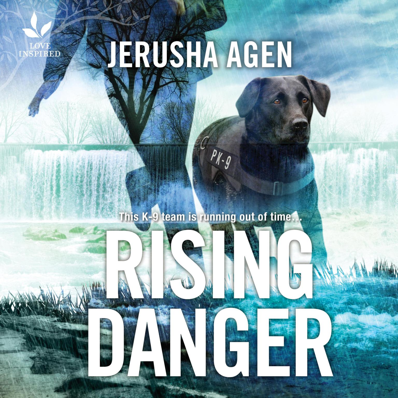 Rising Danger Audiobook, by Jerusha Agen