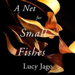 A Net for Small Fishes: A Novel Audiobook, by Lucy Jago
