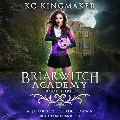 A Journey Before Dawn Audiobook, by KC Kingmaker