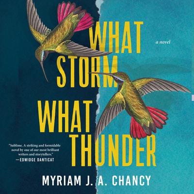 What Storm, What Thunder: A Novel Audiobook, by Myriam J.A. Chancy