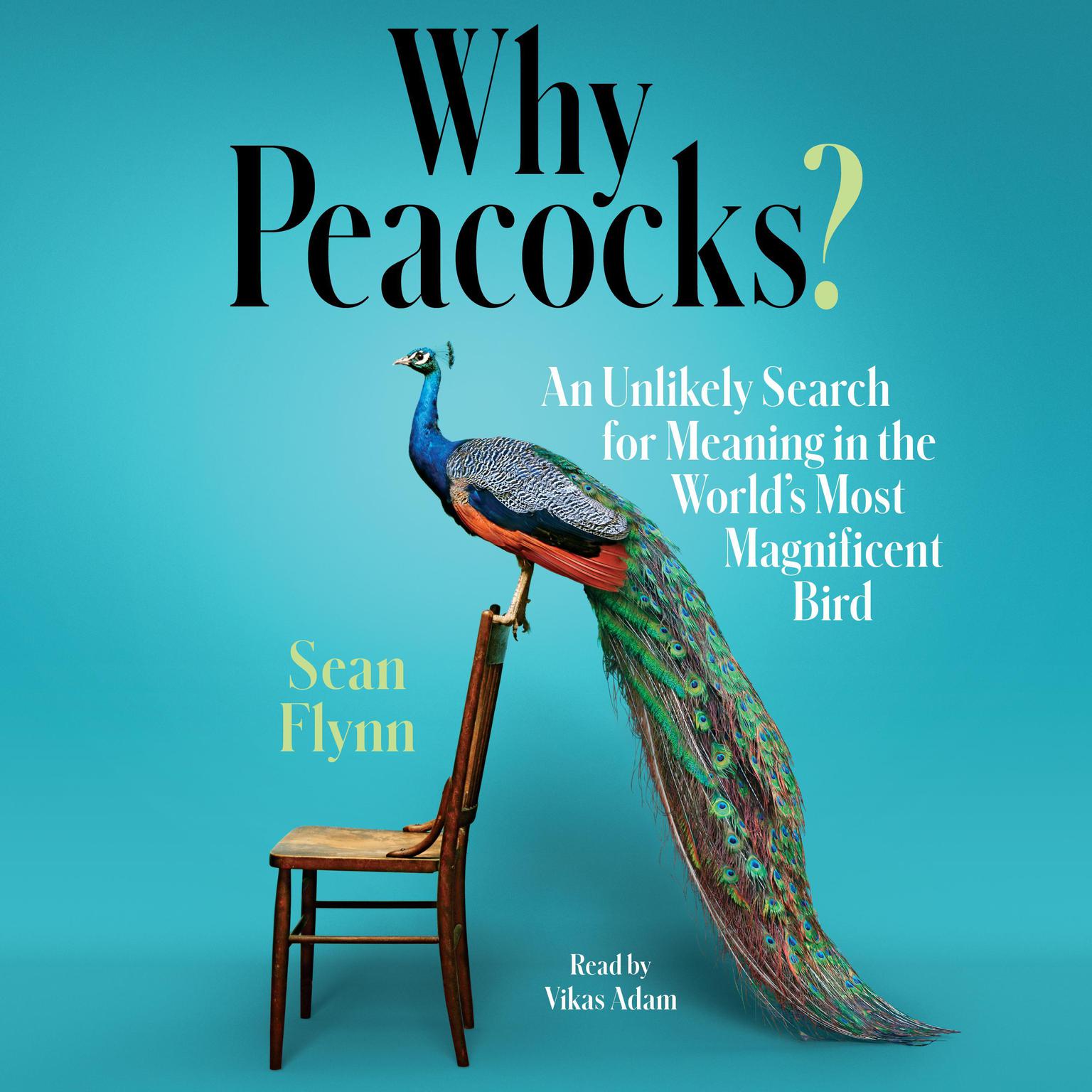 Why Peacocks?: An Unlikely Search for Meaning in the Worlds Most Magnificent Bird Audiobook, by Sean Flynn