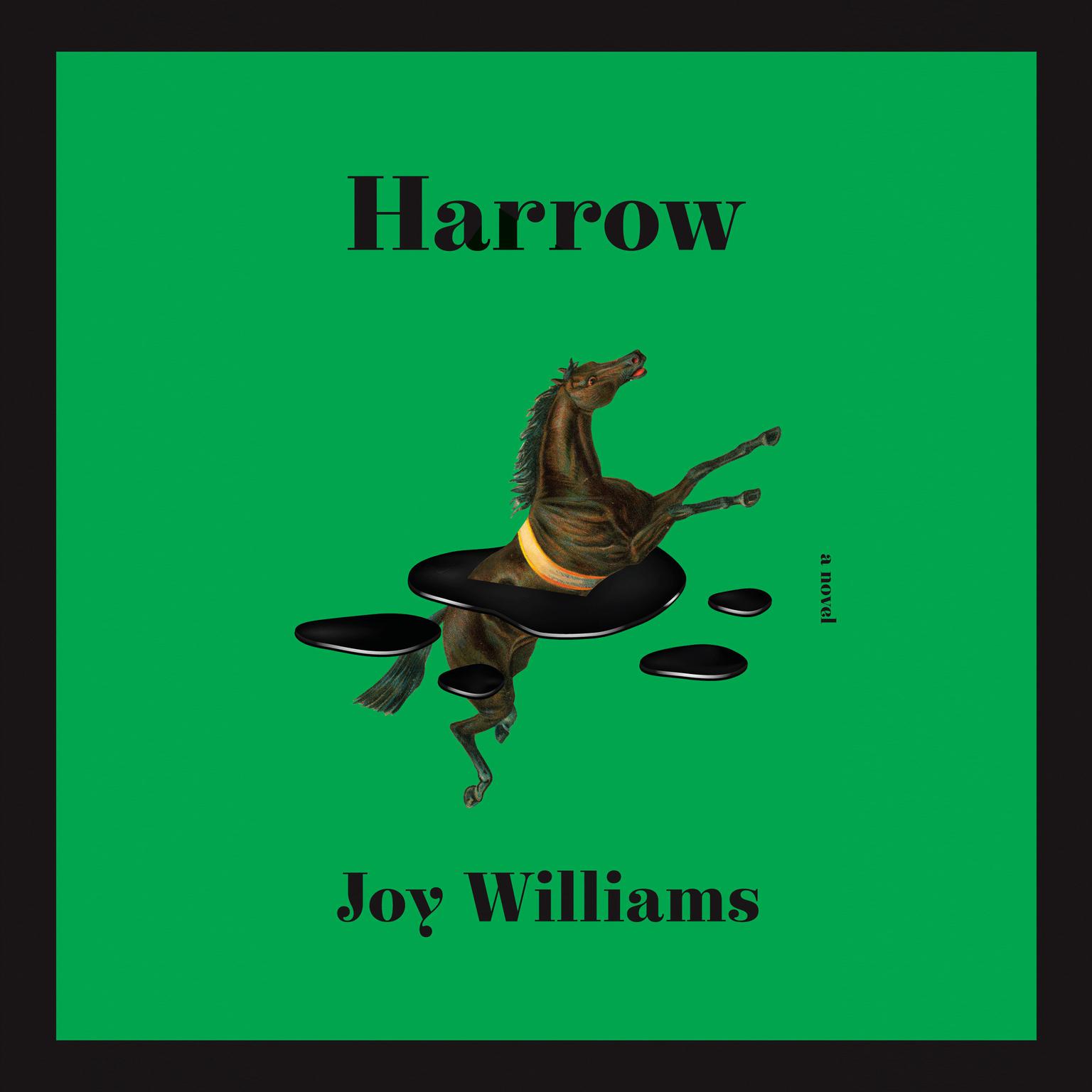Harrow: A novel (Kirkus Prize) Audiobook, by Joy Williams