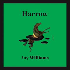 Harrow: A Novel Audiobook, by Joy Williams