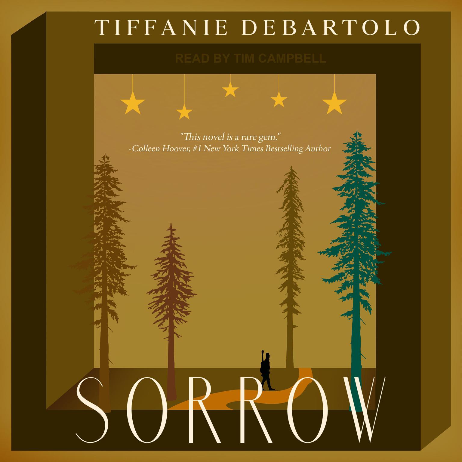 Sorrow Audiobook, by Tiffanie DeBartolo