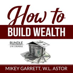 How to Build Wealth Bundle: 2 in 1 Bundle, True Wealth Formula and Financially Forward: 2 in 1 Bundle, True Wealth Formula and Financially Forward  Audiobook, by Mikey Garrett