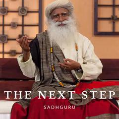 The Next Step Audiobook, by 