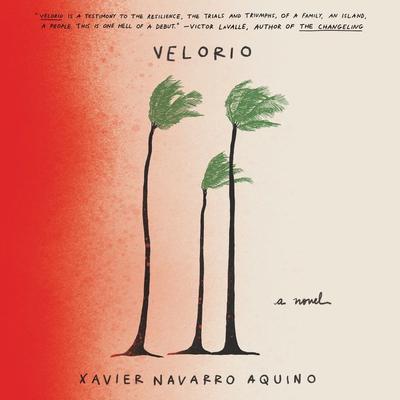 Velorio: A Novel Audiobook, by Xavier Navarro Aquino