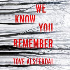 We Know You Remember: A Novel Audiobook, by Tove Alsterdal