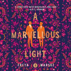 A Marvellous Light Audiobook, by 